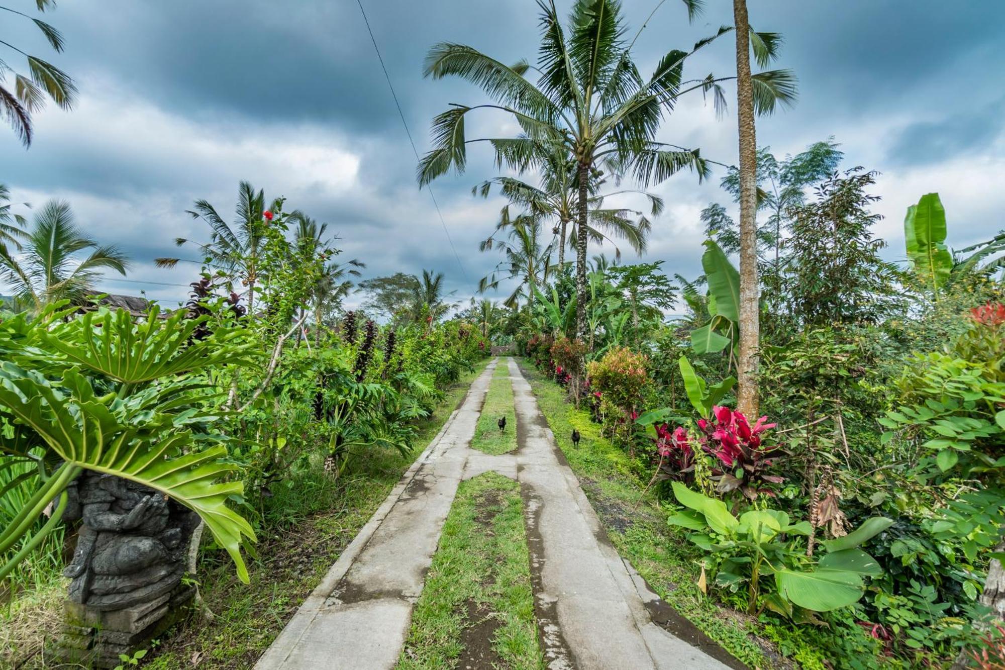 Payangan Ritual Ubud מראה חיצוני תמונה